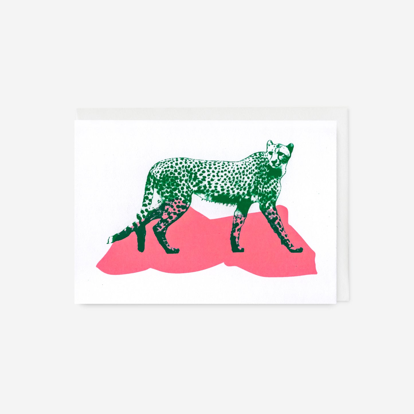 Cheetah