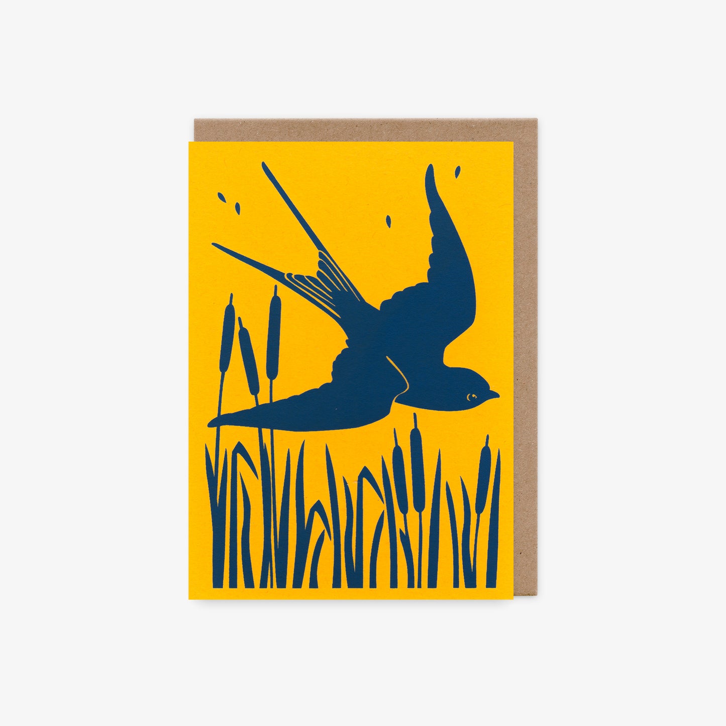 Swallow
