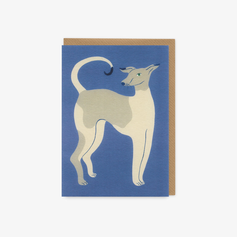 Young Dog