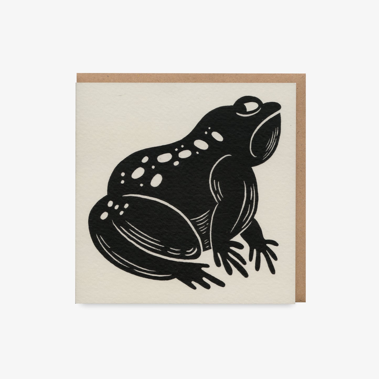 The Grumpy Frog