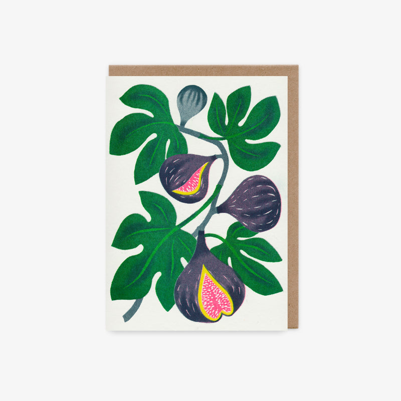 Fig