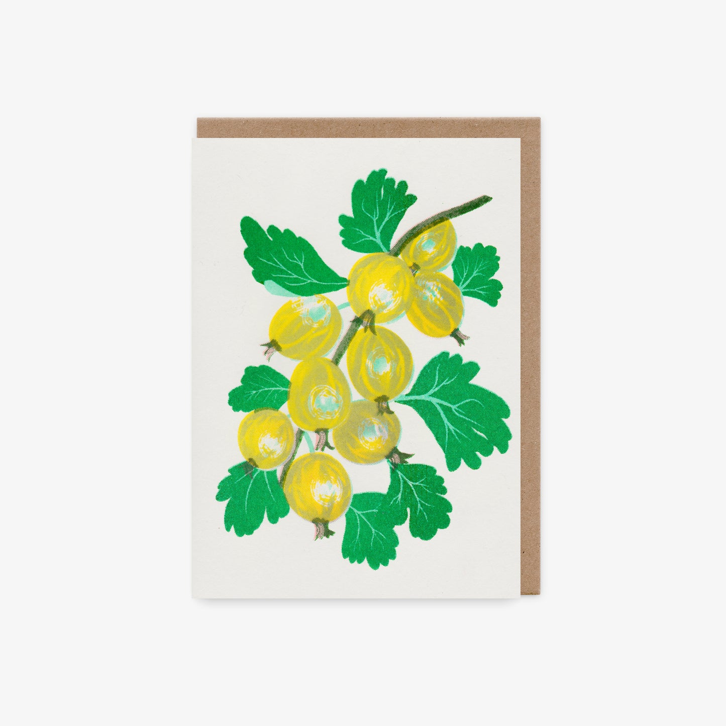 Gooseberry