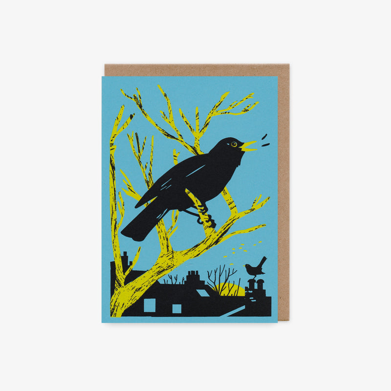 Blackbird