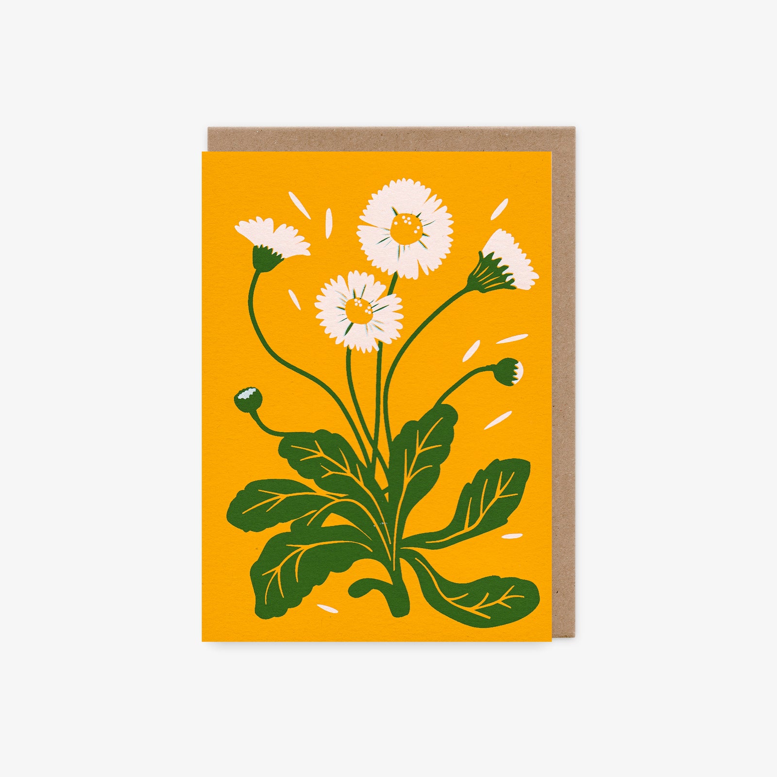 Daisy