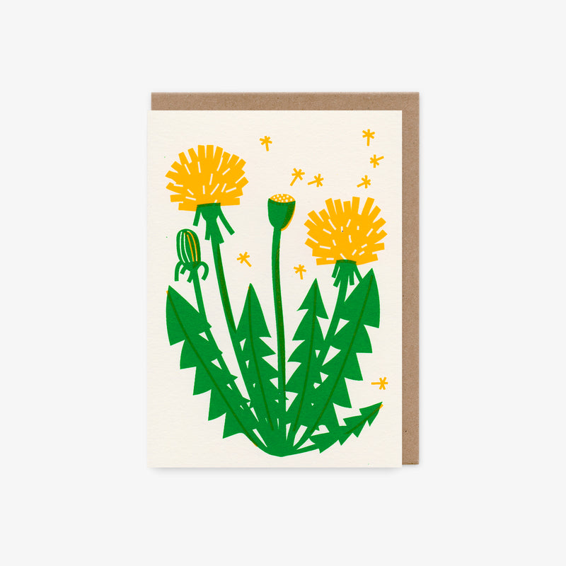 Dandelion