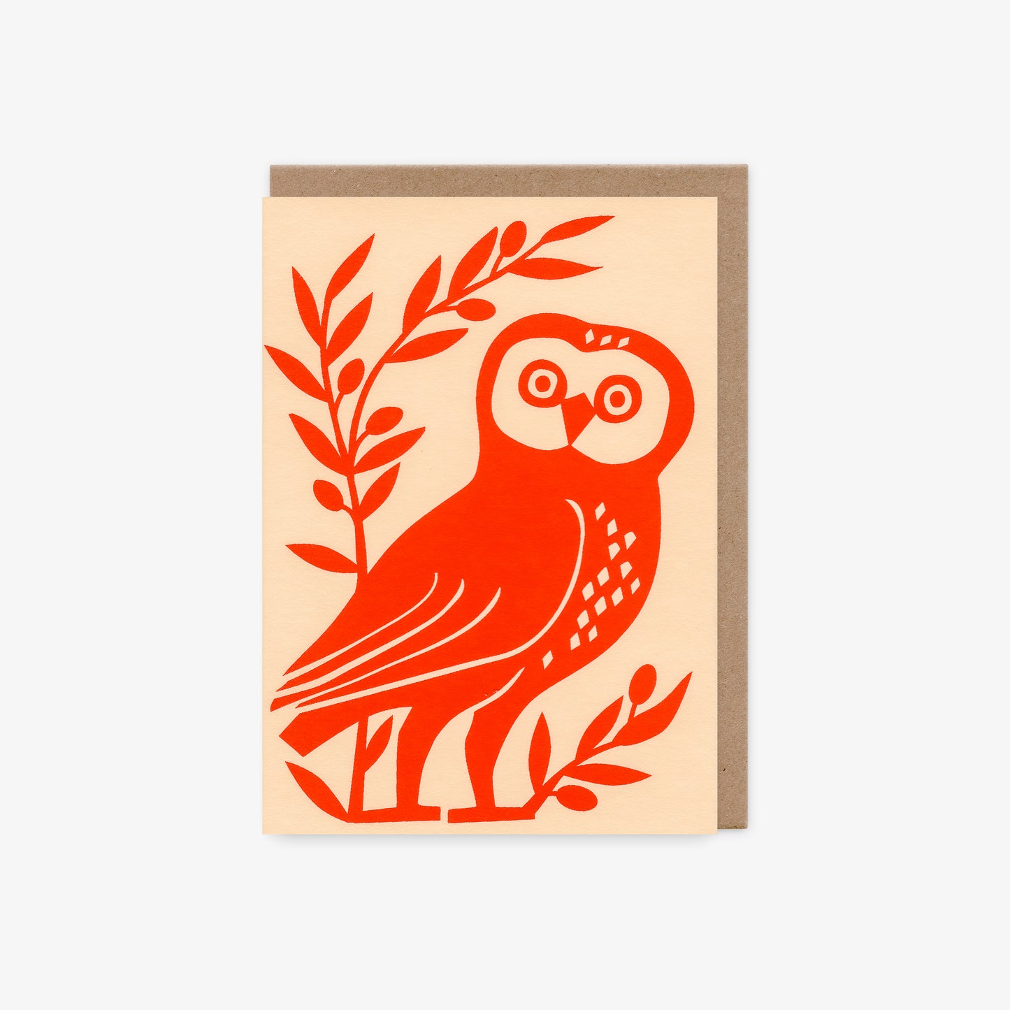 Little Owl