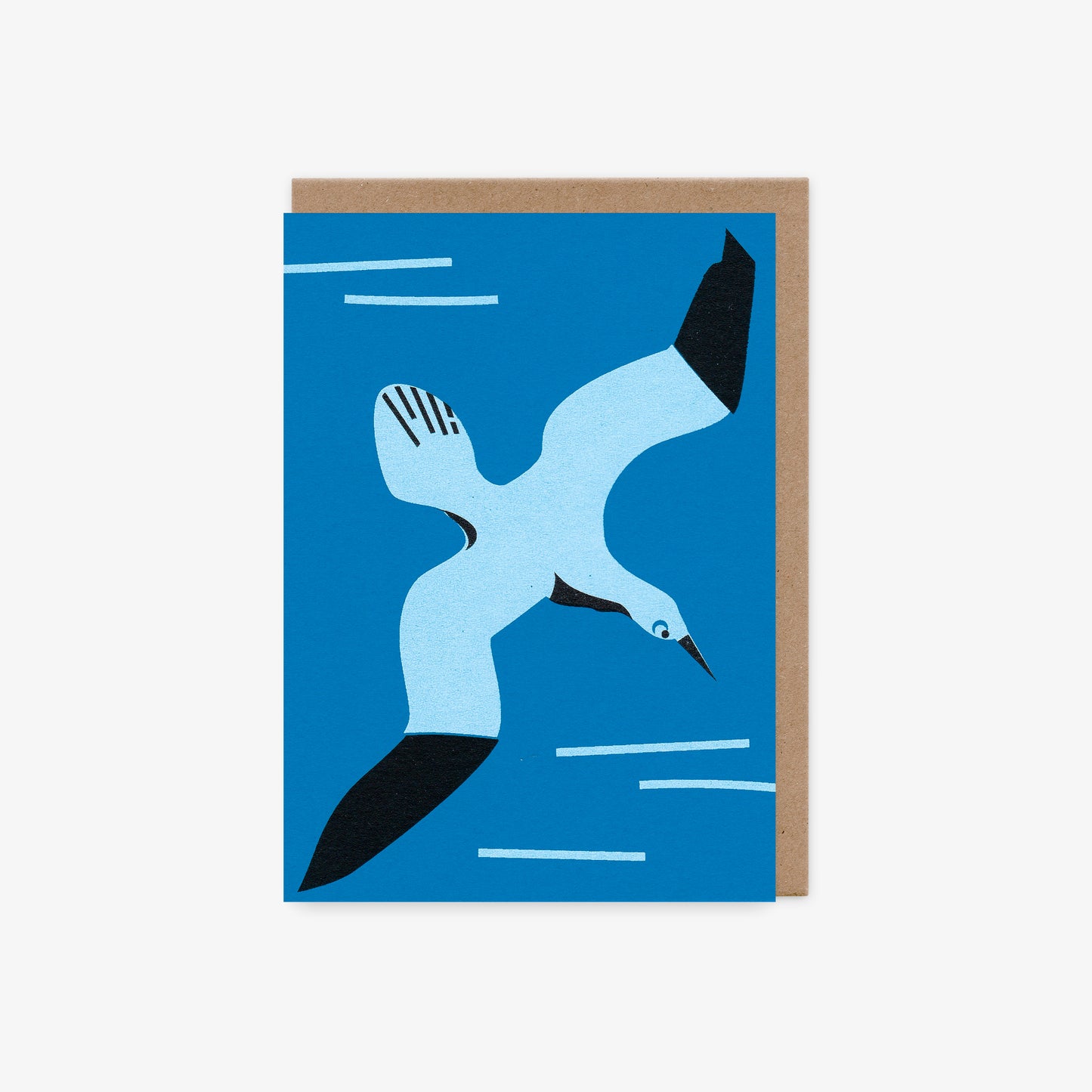 Seabird