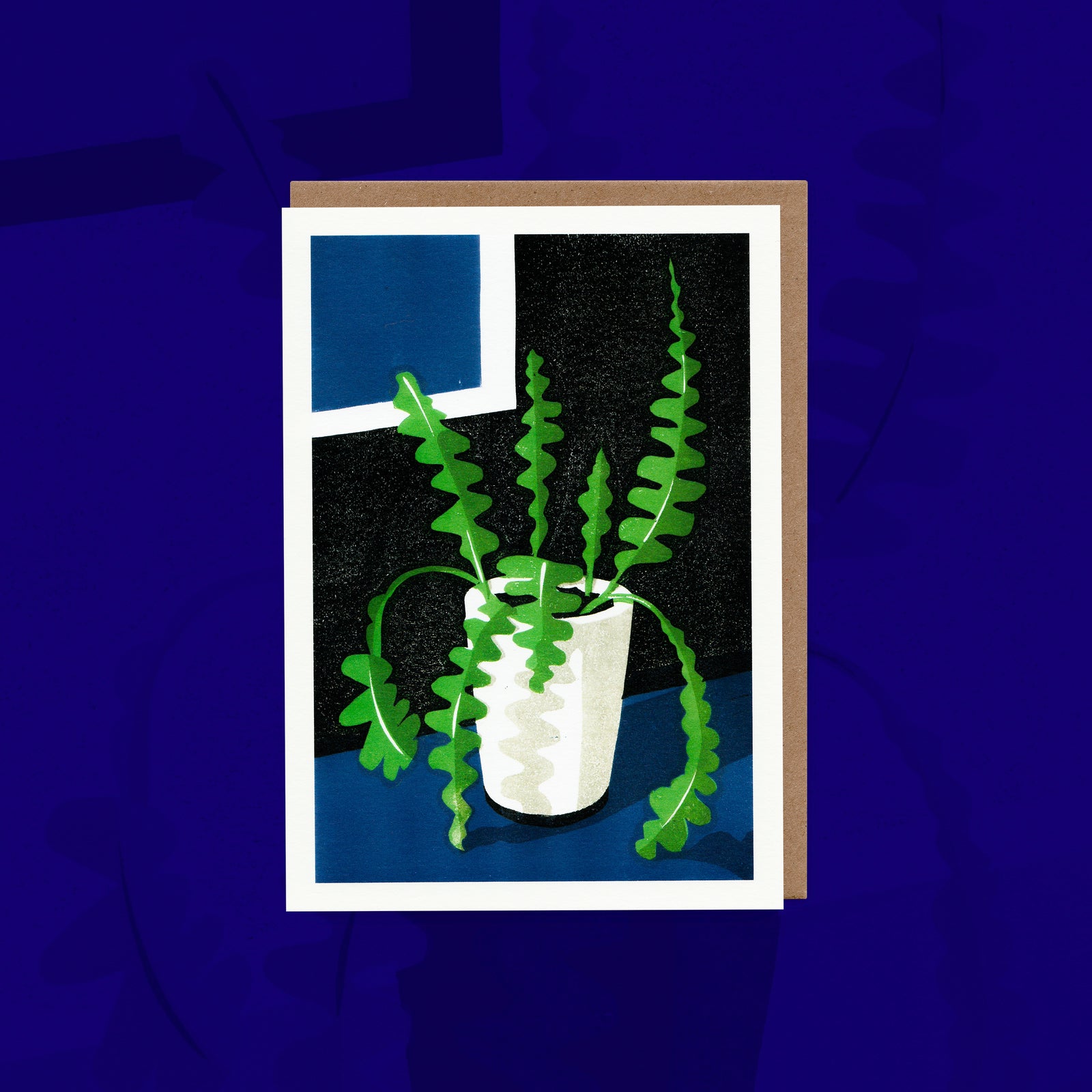 Fishbone Cactus