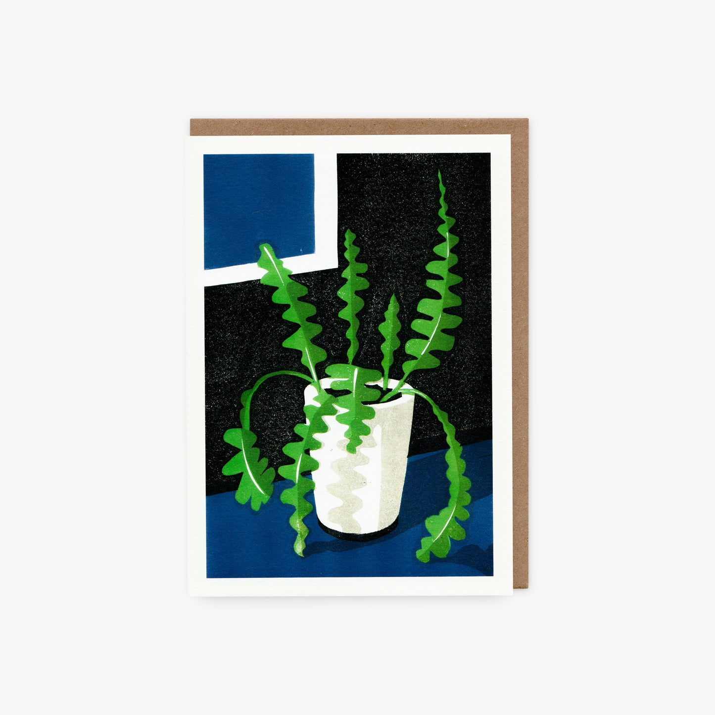 Fishbone Cactus