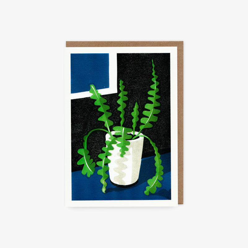 Fishbone Cactus