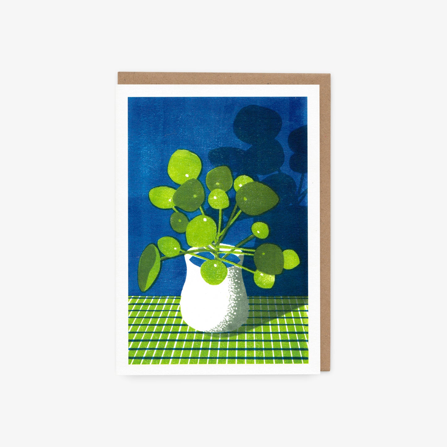 Pilea