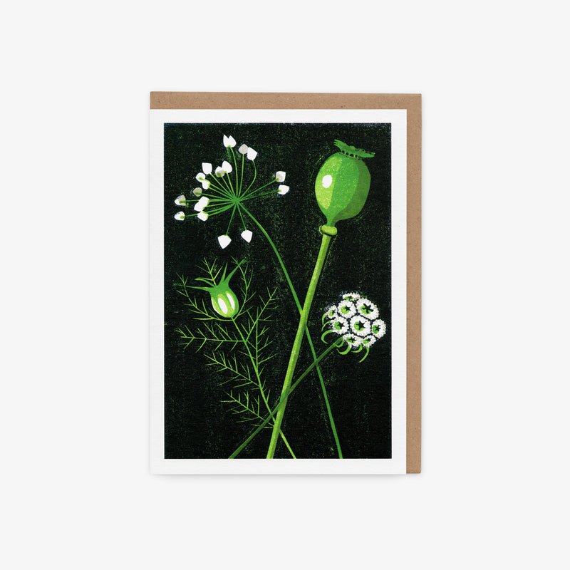 Seed Heads